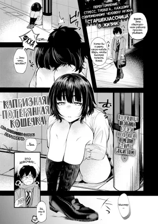 A Fickle Lost Cat (Капризная Потерянная Кошечка)