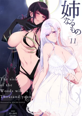 Ane Narumono - часть 11 (Старшая сестра 11 часть)