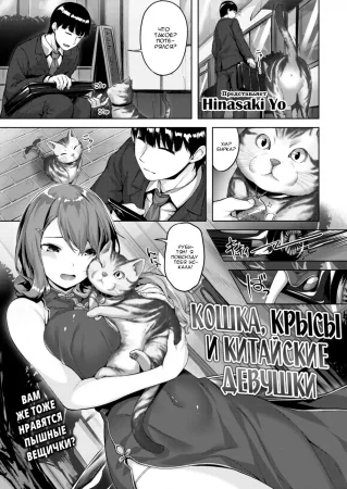 Кошка, крысы и китайские девушки (Cat, Rats & China Girls)